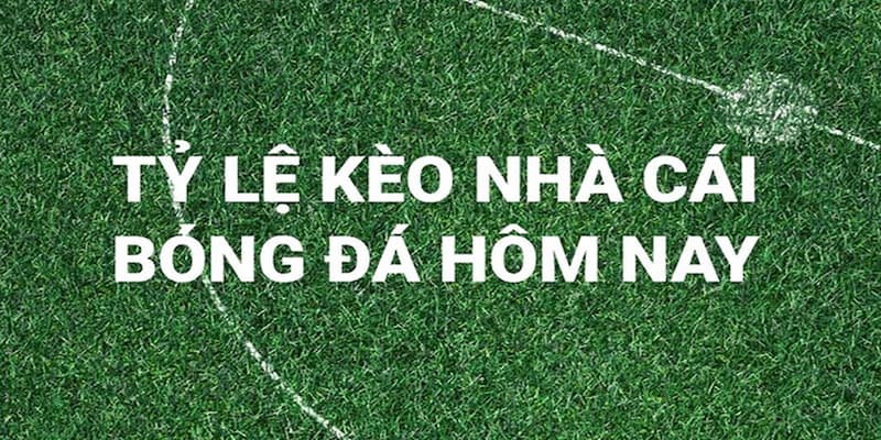 Tỷ lệ kèo 7M | Tỉ lệ kèo châu Á, 1x2, over/under mới nhất 76 Tổng hợp các kèo được yêu thích nhất